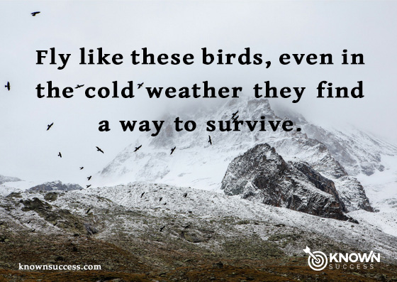 Quote 4